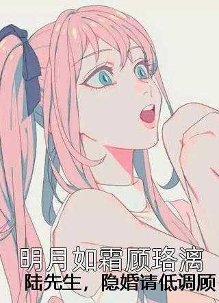 顾南心陆漠北